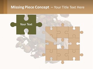 Vegetables Oriental White PowerPoint Template