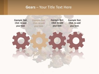 Vegetables Oriental White PowerPoint Template