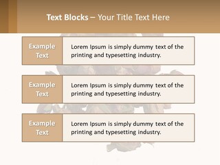 Vegetables Oriental White PowerPoint Template