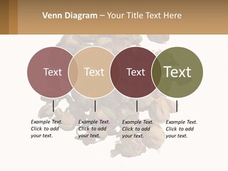 Vegetables Oriental White PowerPoint Template