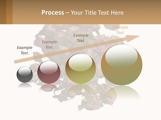 Vegetables Oriental White PowerPoint Template