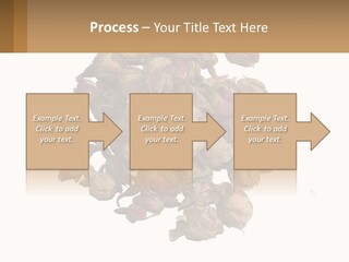 Vegetables Oriental White PowerPoint Template