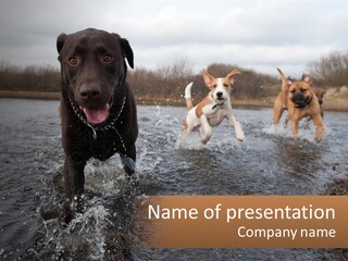 Active Friend Outside PowerPoint Template