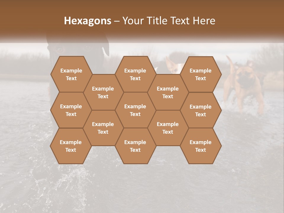 Active Friend Outside PowerPoint Template