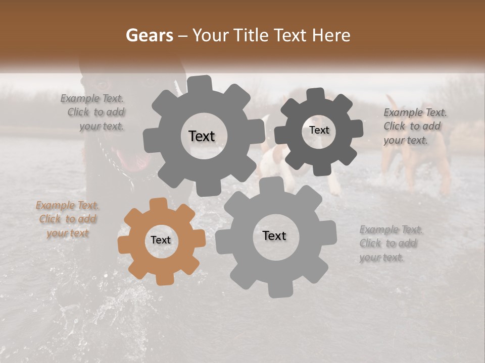 Active Friend Outside PowerPoint Template