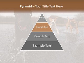 Active Friend Outside PowerPoint Template