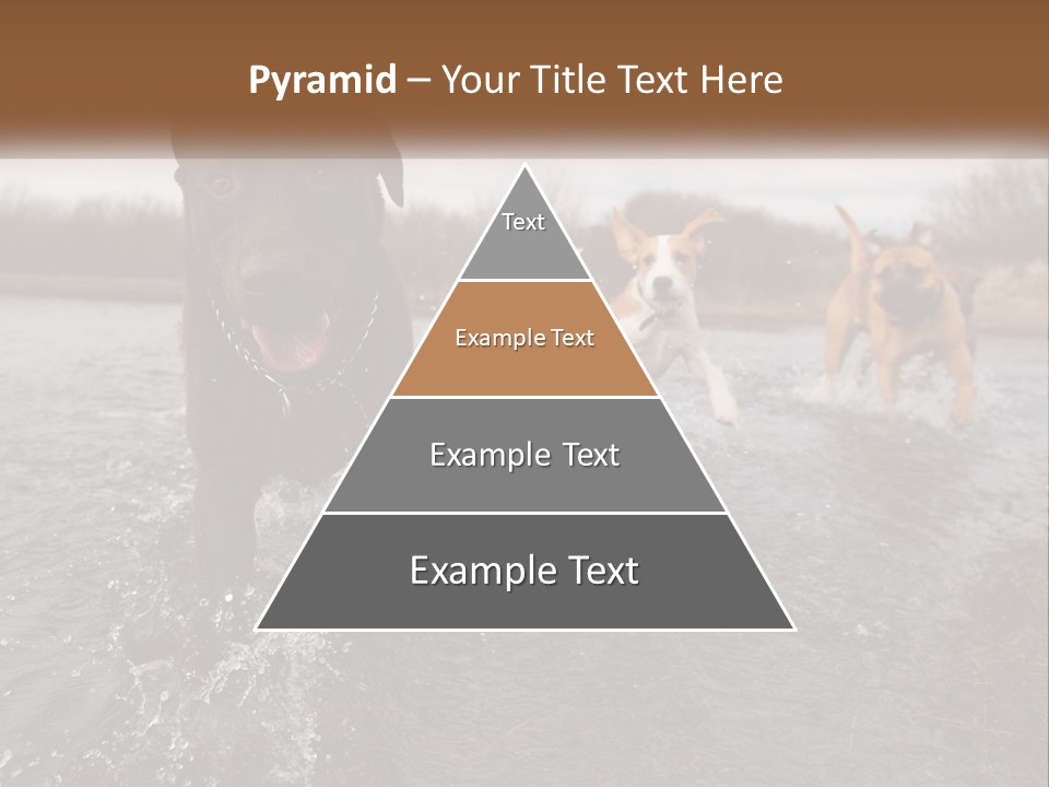 Active Friend Outside PowerPoint Template