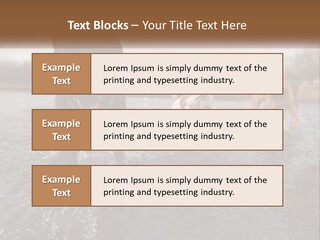 Active Friend Outside PowerPoint Template