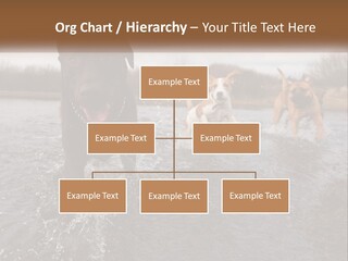 Active Friend Outside PowerPoint Template