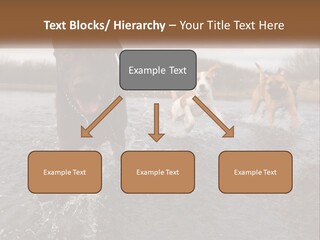 Active Friend Outside PowerPoint Template