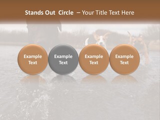 Active Friend Outside PowerPoint Template
