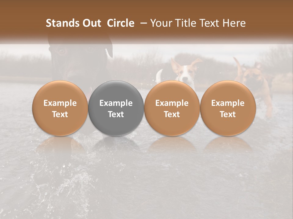 Active Friend Outside PowerPoint Template