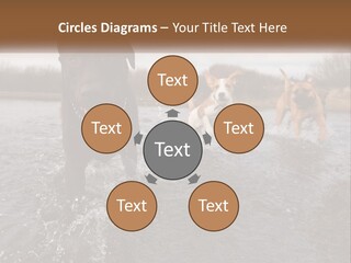 Active Friend Outside PowerPoint Template