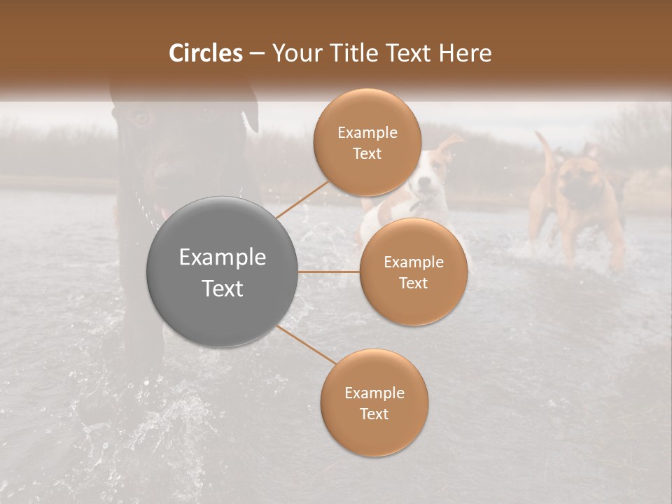Active Friend Outside PowerPoint Template