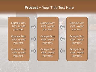 Active Friend Outside PowerPoint Template