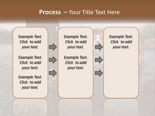 Active Friend Outside PowerPoint Template