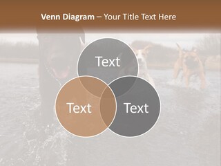 Active Friend Outside PowerPoint Template