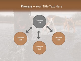 Active Friend Outside PowerPoint Template