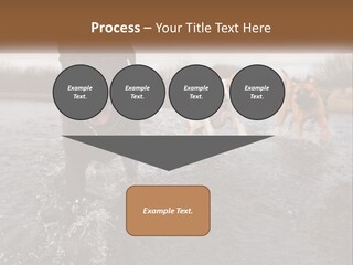 Active Friend Outside PowerPoint Template