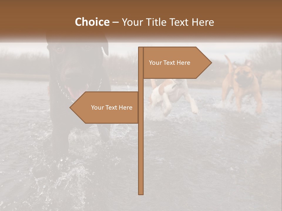 Active Friend Outside PowerPoint Template