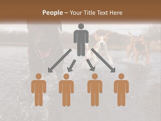Active Friend Outside PowerPoint Template