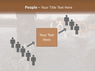 Active Friend Outside PowerPoint Template