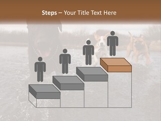 Active Friend Outside PowerPoint Template