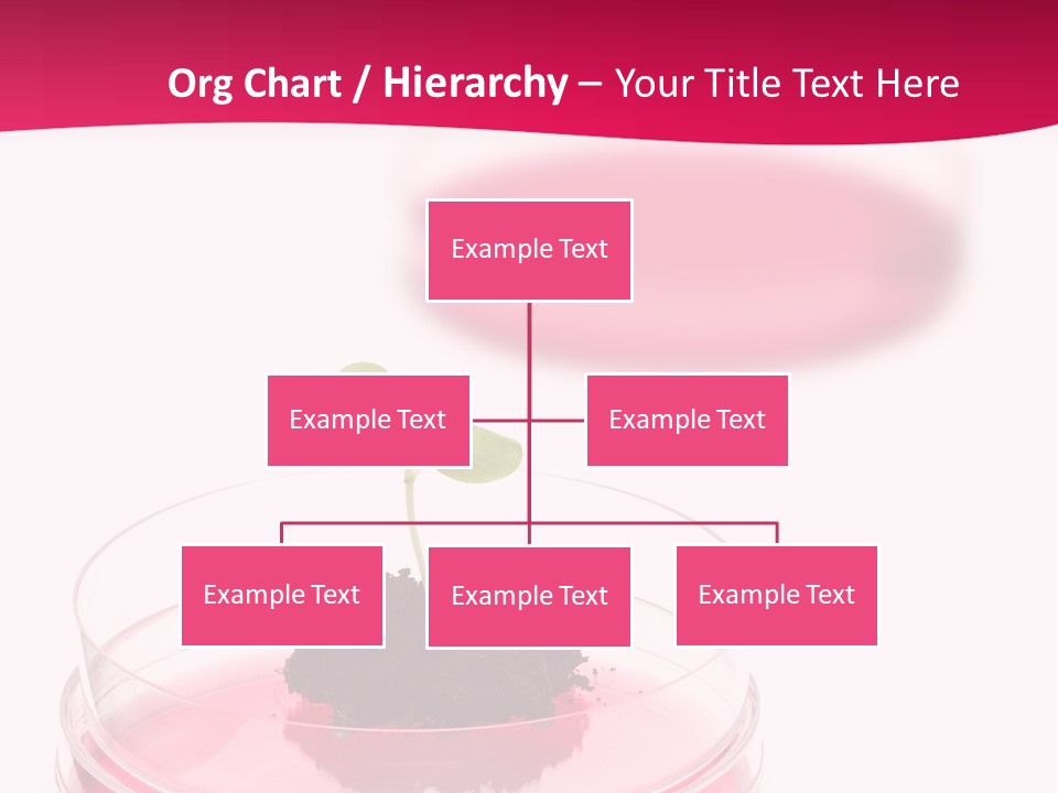 Plant Flora Natural PowerPoint Template