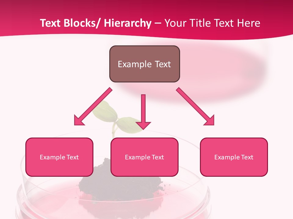 Plant Flora Natural PowerPoint Template