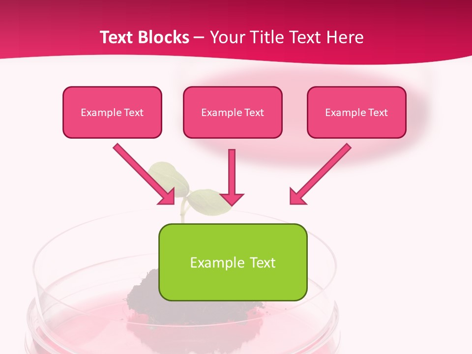 Plant Flora Natural PowerPoint Template