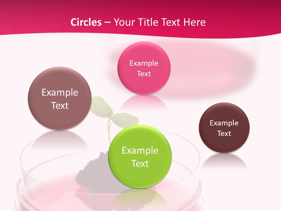 Plant Flora Natural PowerPoint Template