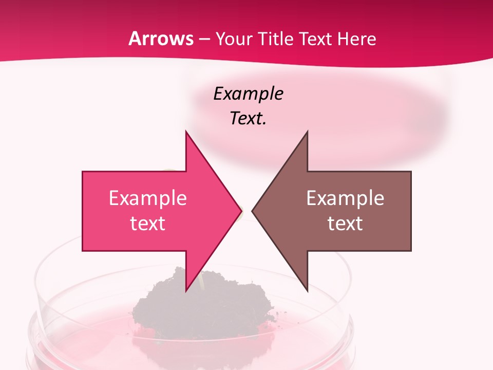 Plant Flora Natural PowerPoint Template