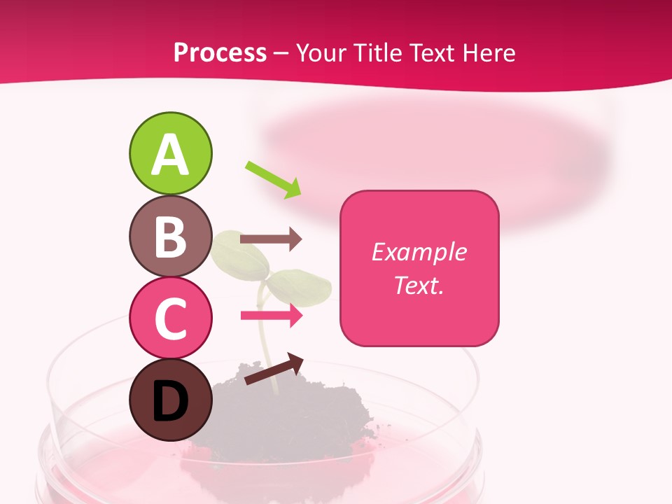 Plant Flora Natural PowerPoint Template