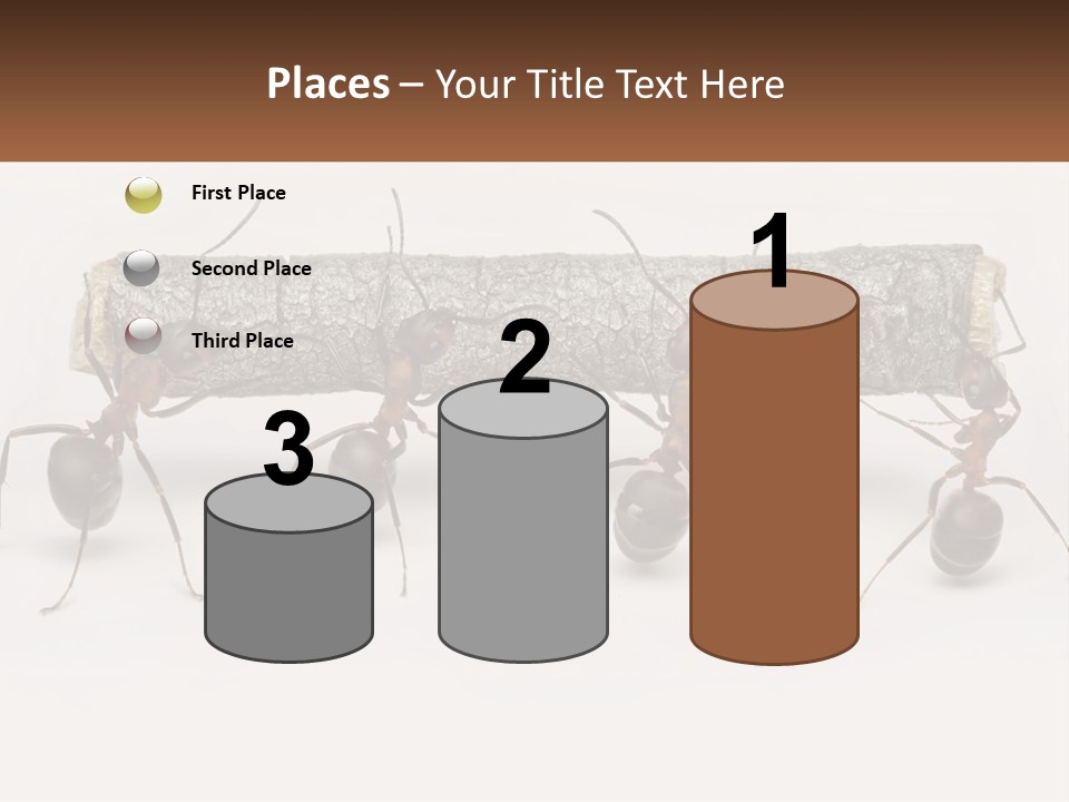 Animals Work Weight PowerPoint Template