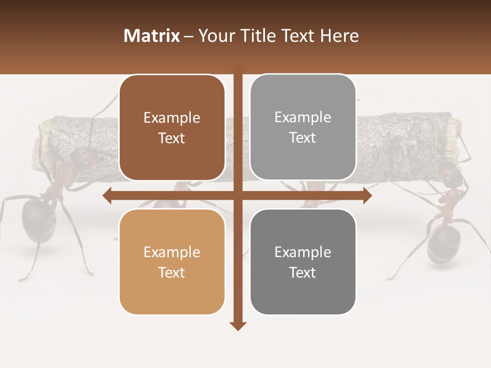 Animals Work Weight PowerPoint Template