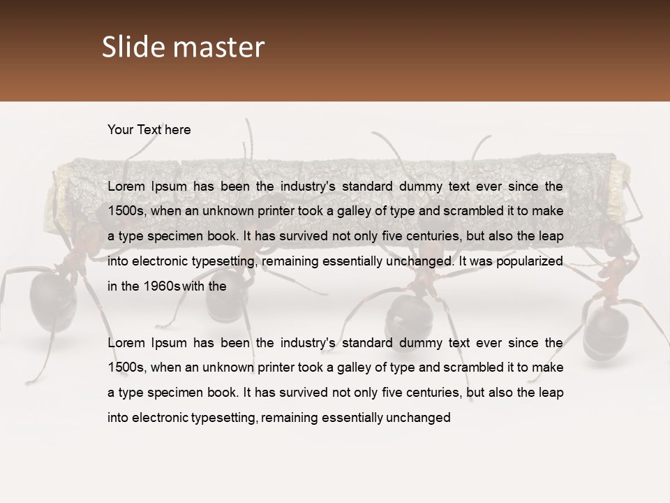 Animals Work Weight PowerPoint Template