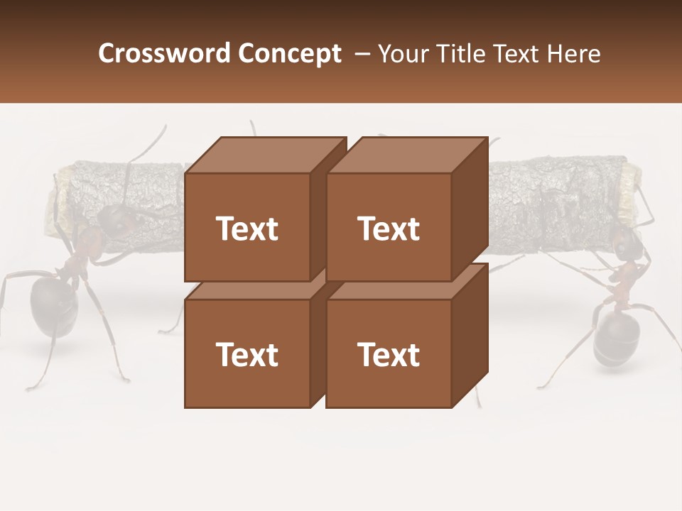 Animals Work Weight PowerPoint Template