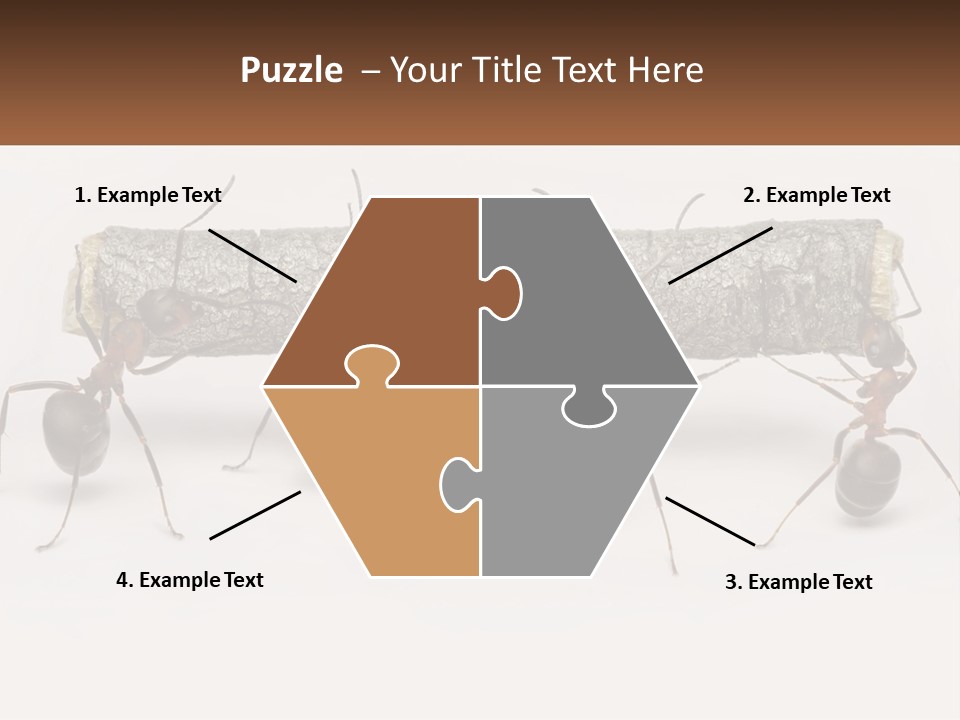 Animals Work Weight PowerPoint Template