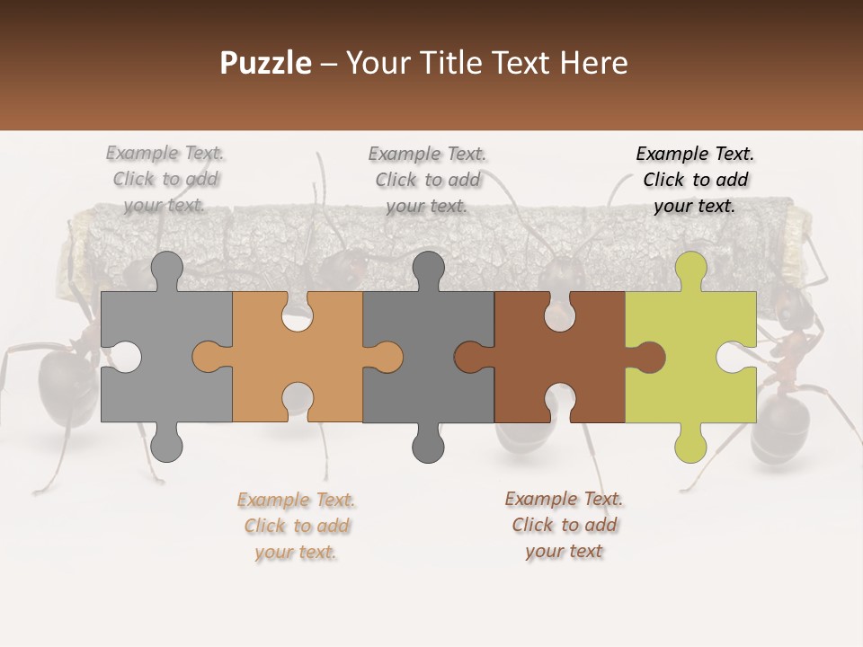 Animals Work Weight PowerPoint Template