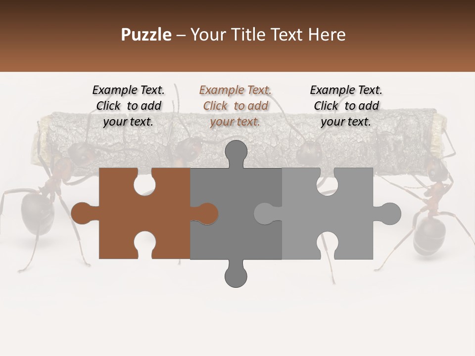 Animals Work Weight PowerPoint Template