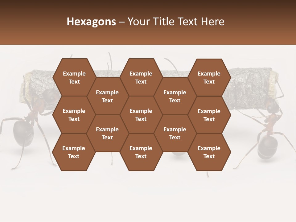 Animals Work Weight PowerPoint Template