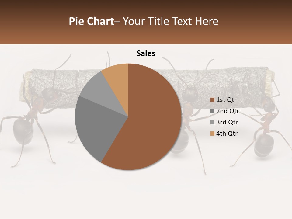 Animals Work Weight PowerPoint Template