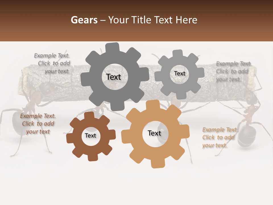 Animals Work Weight PowerPoint Template