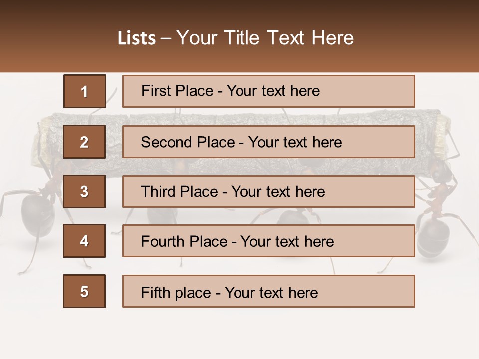 Animals Work Weight PowerPoint Template