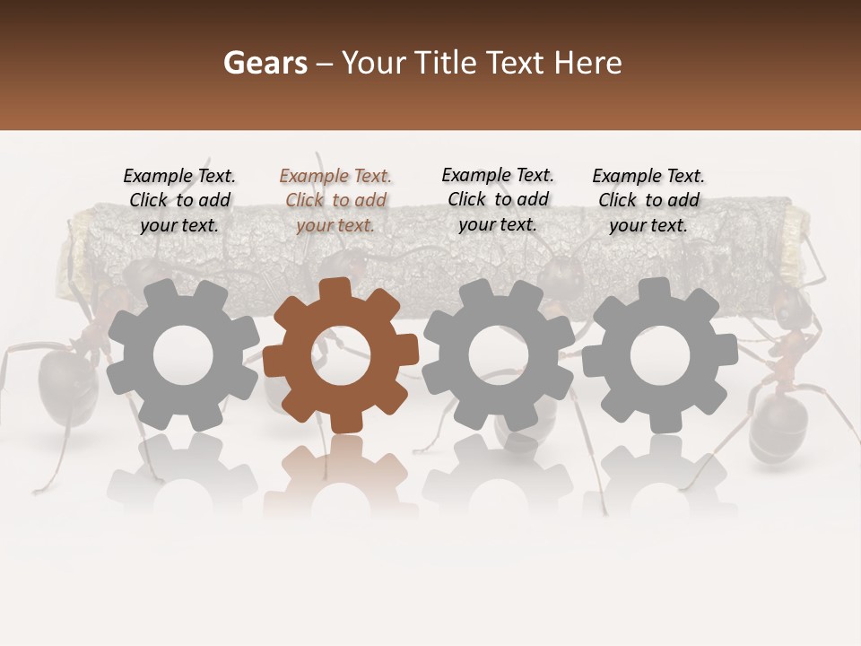 Animals Work Weight PowerPoint Template