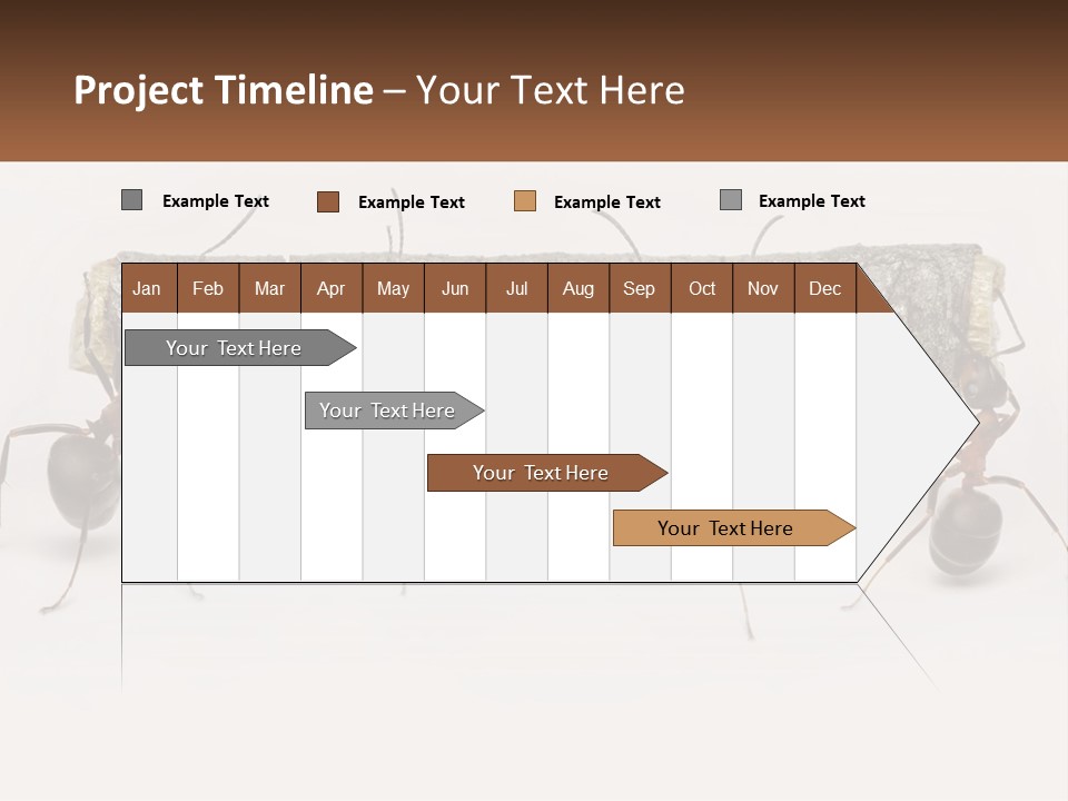 Animals Work Weight PowerPoint Template