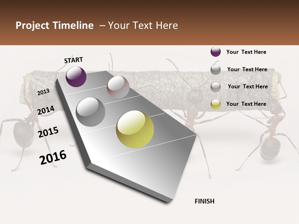 Animals Work Weight PowerPoint Template