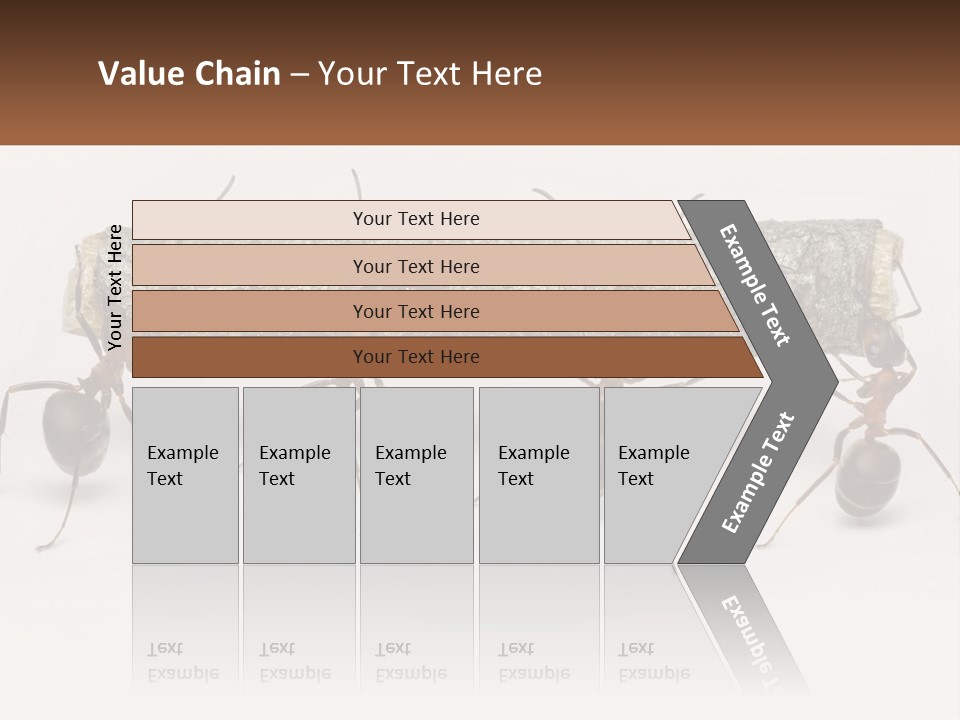 Animals Work Weight PowerPoint Template