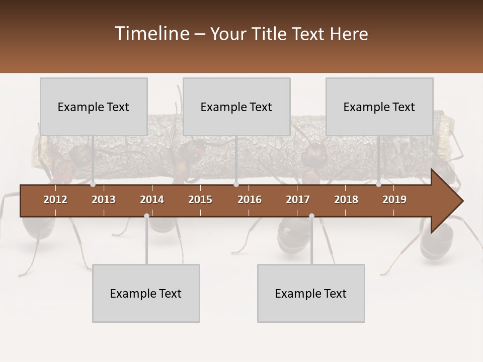 Animals Work Weight PowerPoint Template