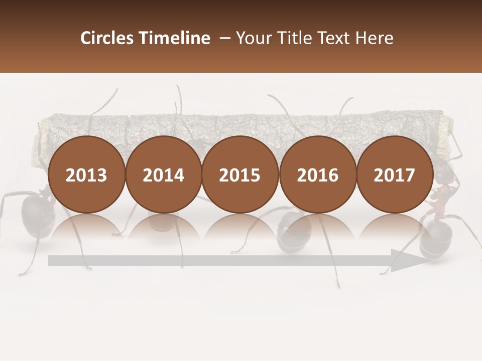 Animals Work Weight PowerPoint Template